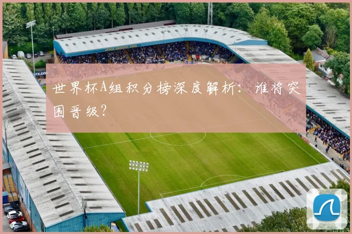 世界杯A组积分榜深度解析：谁将突围晋级？