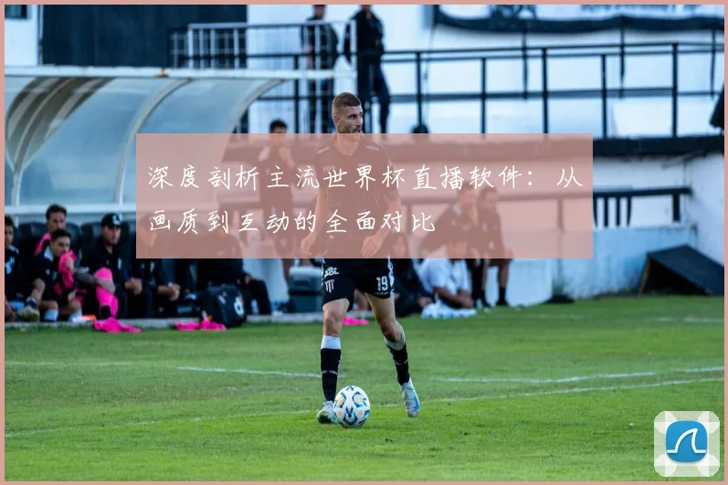 深度剖析主流世界杯直播软件：从画质到互动的全面对比