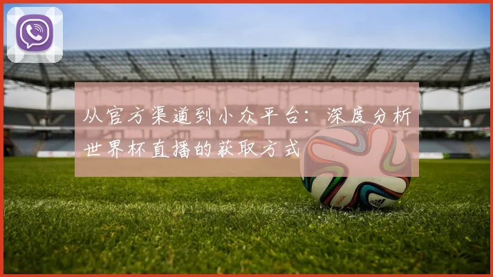 从官方渠道到小众平台：深度分析世界杯直播的获取方式