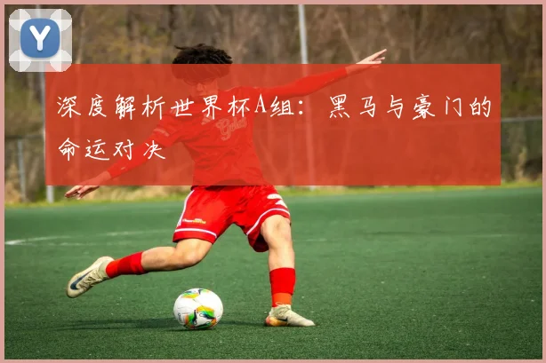 深度解析世界杯A组:黑马与豪门的命运对决