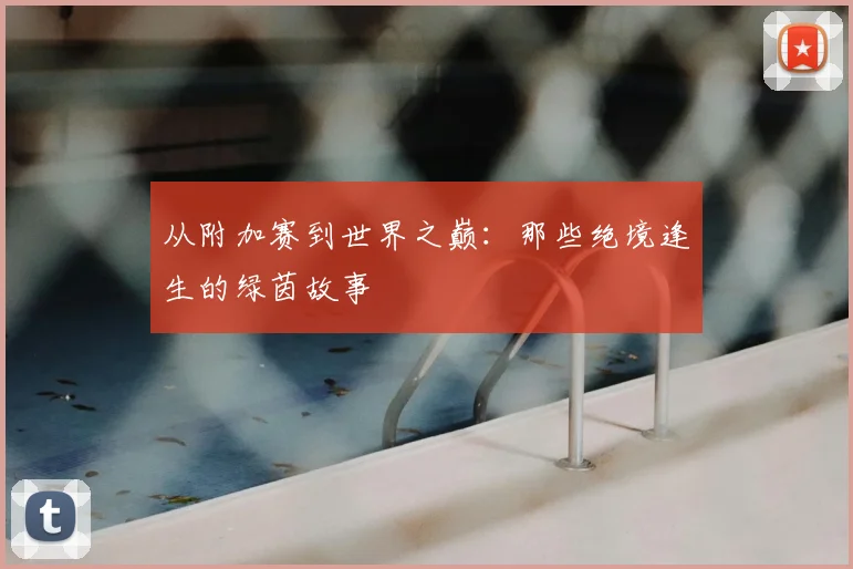 从附加赛到世界之巅：那些绝境逢生的绿茵故事