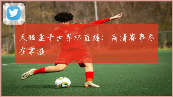 天猫盒子世界杯直播：高清赛事尽在掌握