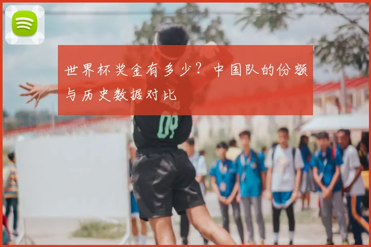 世界杯奖金有多少？中国队的份额与历史数据对比